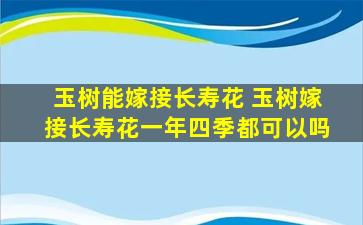 玉树能嫁接长寿花 玉树嫁接长寿花一年四季都可以吗